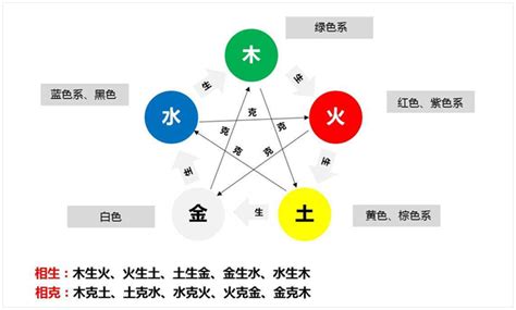 冰箱五行属什么|冰箱植物风水的五行属性及其讲究